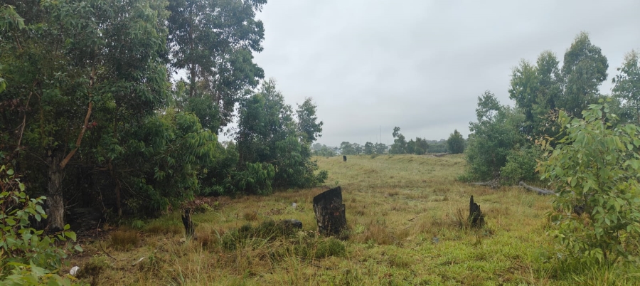 0 Bedroom Property for Sale in Greenbushes Eastern Cape